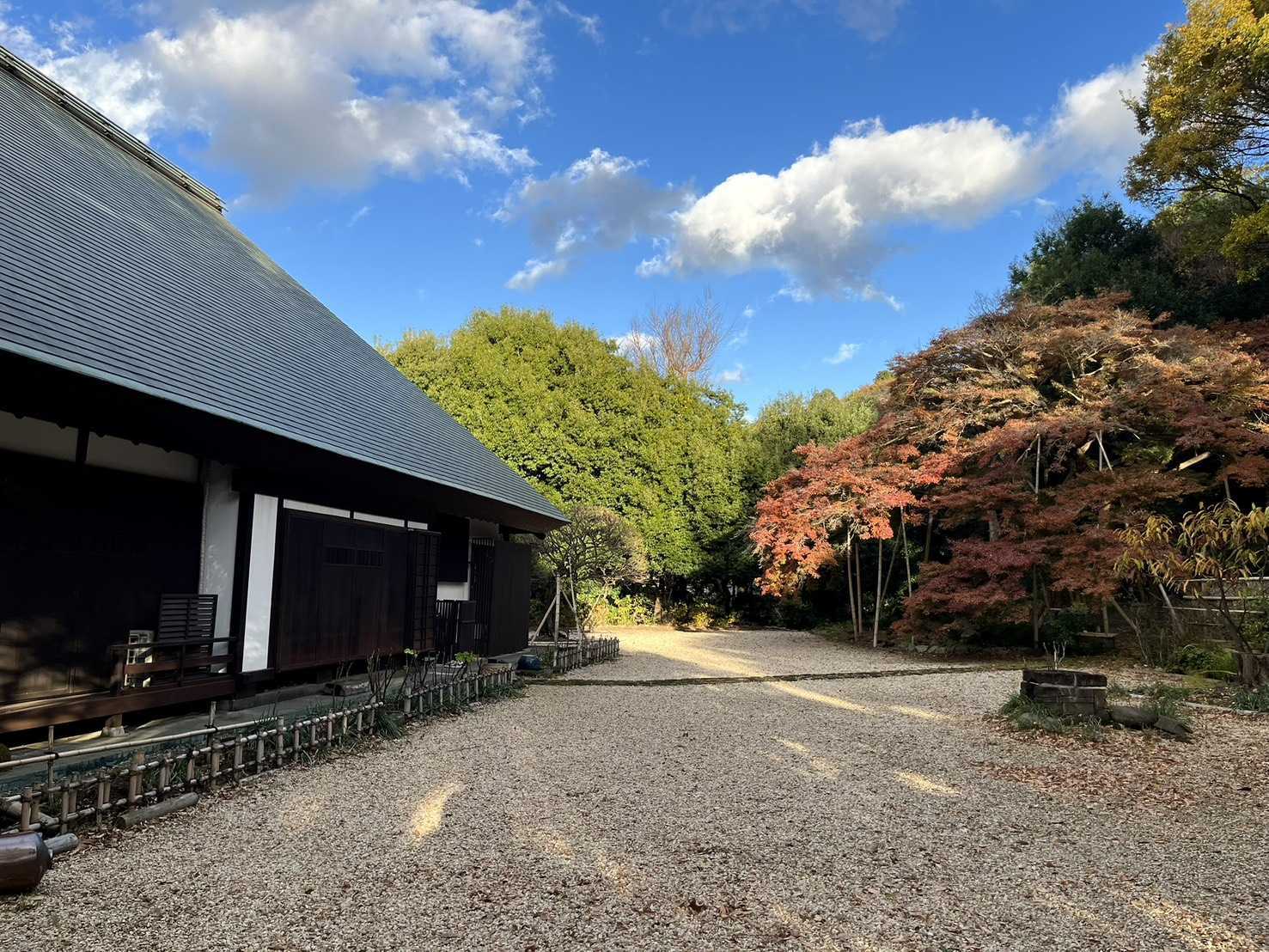 1763967990251 (1).jpg